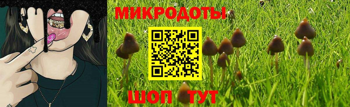 Галлюциногенные грибы мухоморы Фурманов